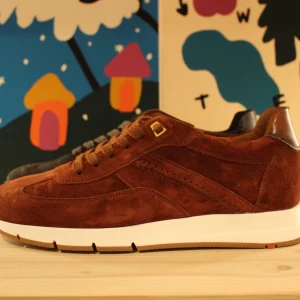 ADRON