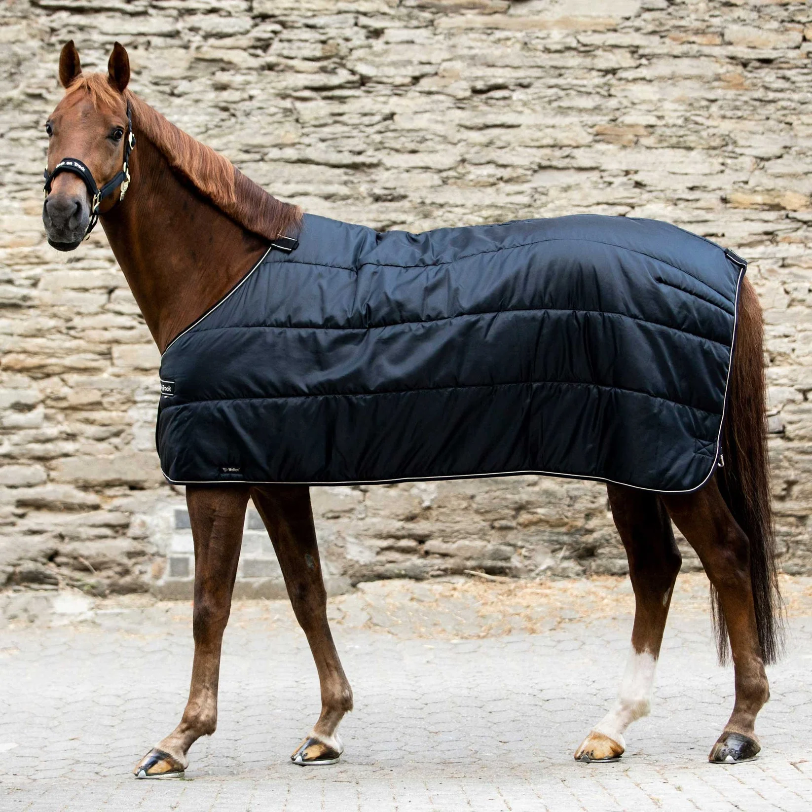 Doublure Rhyolite 100g Back on Track – Image 2