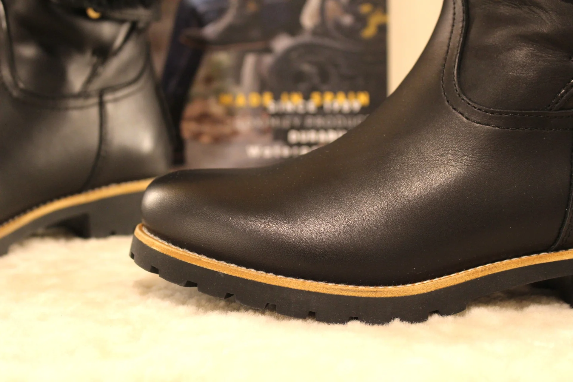 FELIA IGLOO – Image 2