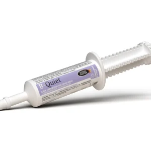 B quiet de Horse Master