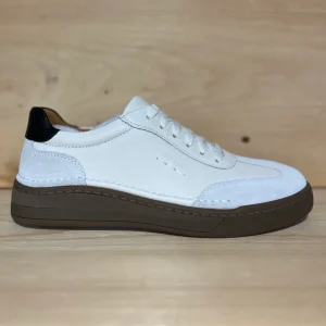 JOSEF SEIBEL – CELVE 07 – 13607-134002 (#127)