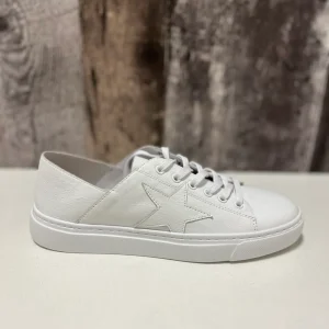 MOLLINI - SNEAKER CUIR - HOLIDAY- (#6) M011948WAD-LE - BLANC/BLANC