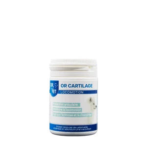 OR-Cartilage Chien