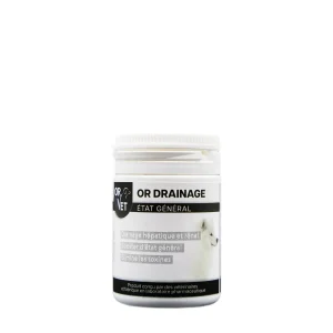 OR DRAINAGE Chien
