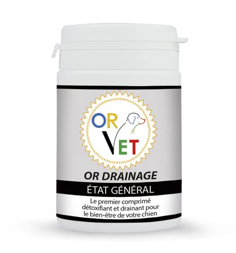 OR DRAINAGE Chien – Image 4
