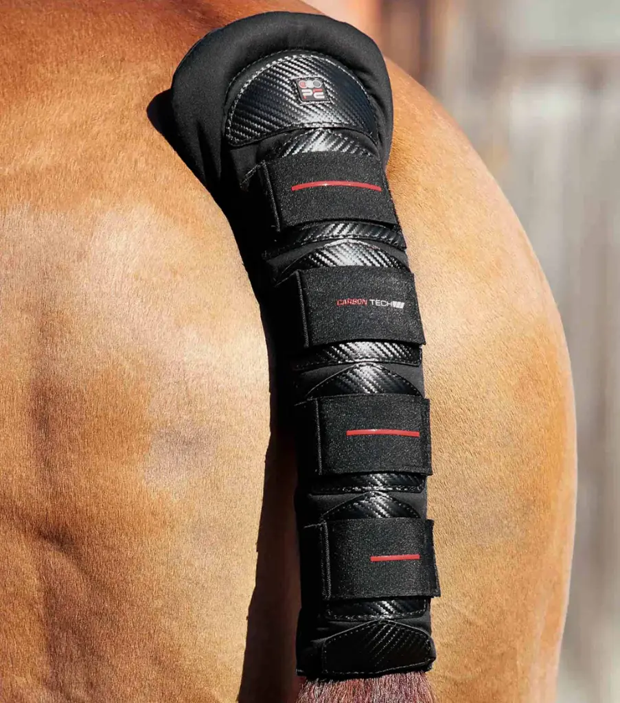 Protège-queue Carbon Tech Premiere Equine