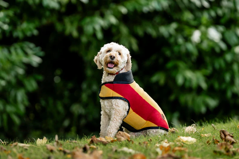 Manteau Polaire pour Chien Horseware® Newmarket – Image 3