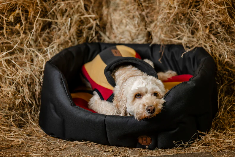 Manteau Polaire pour Chien Horseware® Newmarket – Image 8