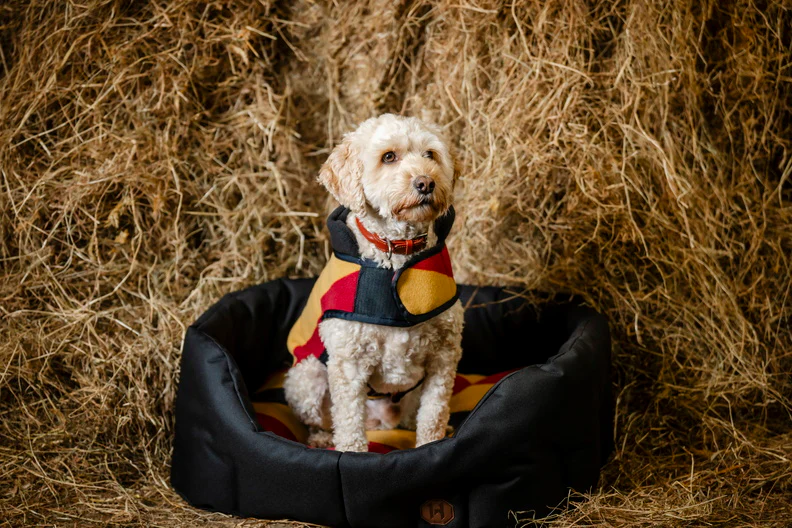 Manteau Polaire pour Chien Horseware® Newmarket – Image 9