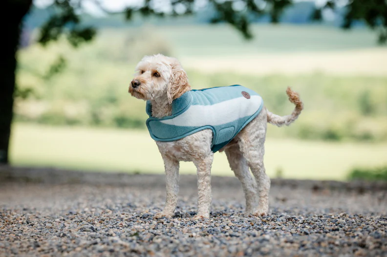 Manteau Polaire pour Chien Horseware® Newmarket
