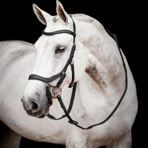 Bridon Micklem2 Competition de Horseware