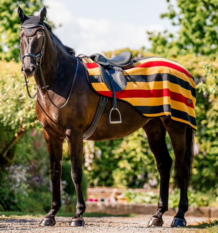 Couvre-reins Horseware Newmarket – Image 3