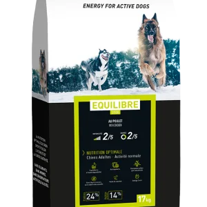 Croquettes pour chiens Equilibre 3700 Pro Team