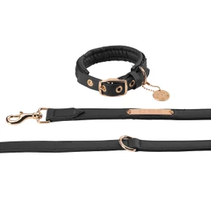 Collier et Laisse en Faux Cuir Tressé pour Chien Eskadron Heritage 24