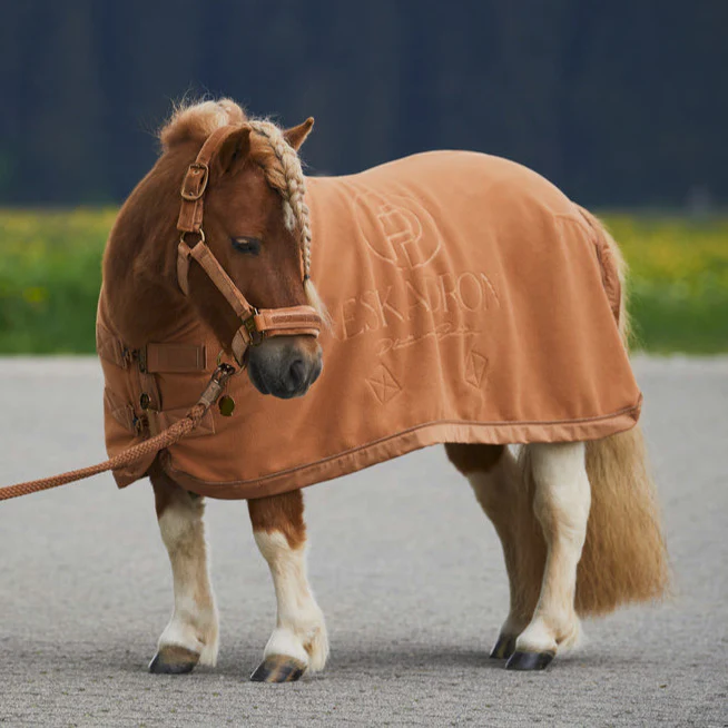 Chemise Polaire Stamp Shetty Eskadron Platinum 23 – Image 3