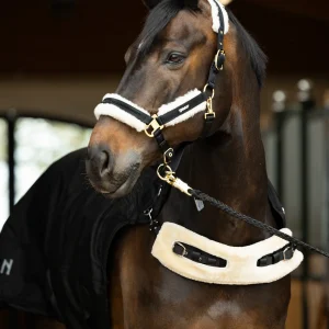 Chemise de marcheur imperméable Eskadron Delta II CORE