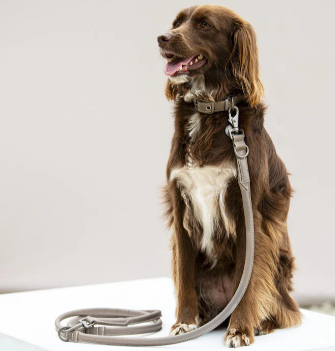 Collier et laisse pour chien »LEATHER« Eskadron Classic SS24 – Image 2