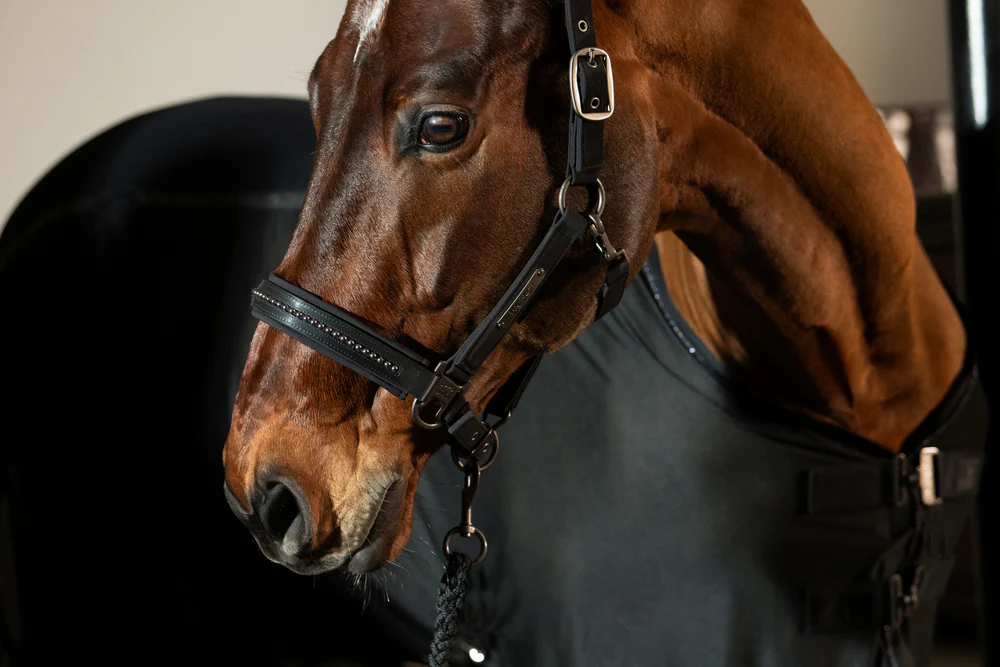 Licol Softshell Pearls Eskadron Platinum 25 – Image 4