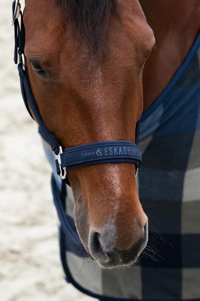 Licol SOFTSHELL DOUBLE PIN Eskadron CLASSIC SPORTS 25 S/S – Image 5