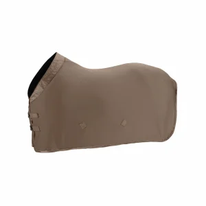 Chemise Aerial Jersey Eskadron Platinum 25