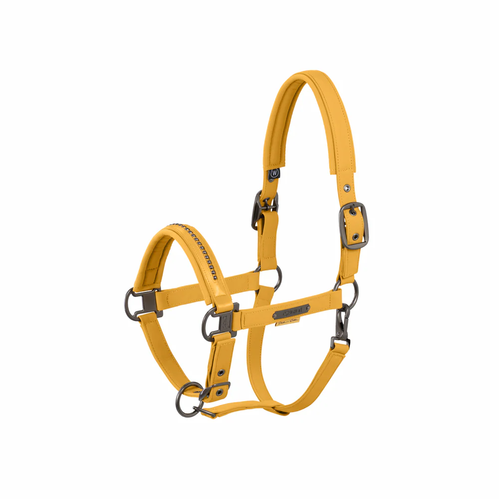 Licol Softshell Pearls Eskadron Platinum 25 – Image 2