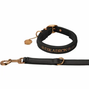 Collier et laisse pour chien Eskadron Platinum 23