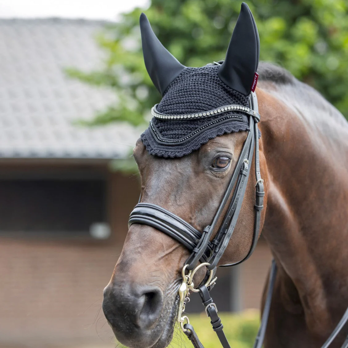 Bonnet Diamante Acoustic Le Mieux – Image 4