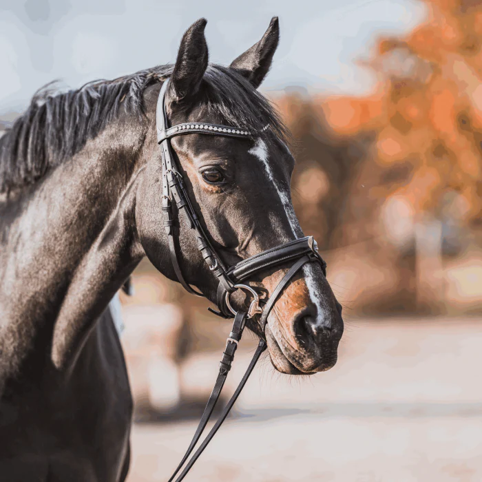 Mors KK Ultra à olives Sprenger 16mm – Image 3